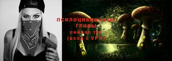 Альфа ПВП Аркадак