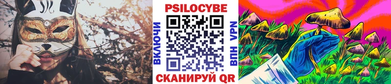 Купить закладки  Абаза  Галлюциногенные грибы Psilocybine cubensis 